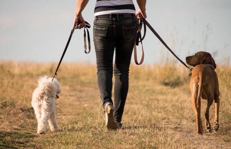 Passeggiata